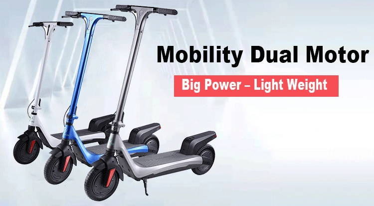 Solid Tire Popular 1500W Smart Balance Wheel Scooter Electric for Adults