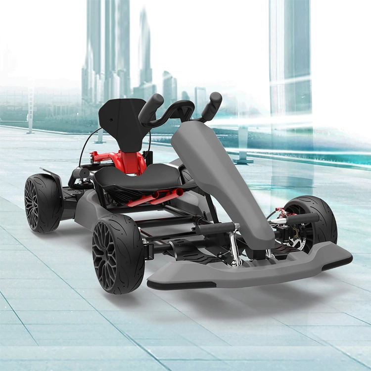 Factory Manufacture Various Go-Kart 2022 New Go Kart Cheap Price Fast Safe for Adults Sale