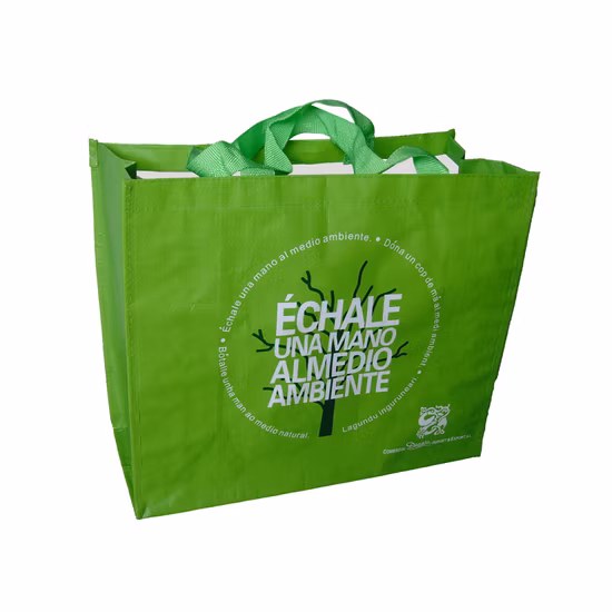 Umweltfreundliche Recycling-Einkaufstasche (HBE-G-2)