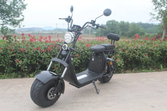 EWG-Elektromobilitäts-Fahrrad-Roller-elektrisches Motorrad-elektrischer Roller