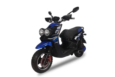 1000 W leistungsstarkes Elektro-Motorrad für Erwachsene, Fahrrad/Elektro-Roller/Elektro-Motorrad-Roller (BWS)