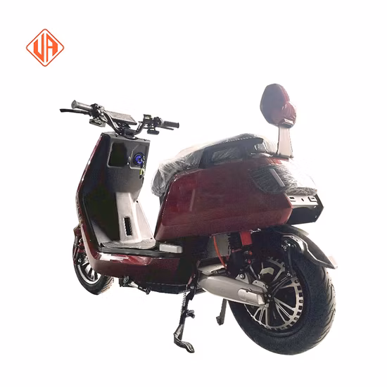 60V E Scooter Motorrad Smart Balance Elektroroller
